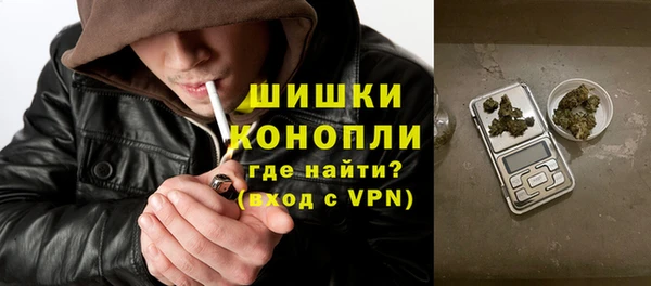 шишки Алексин