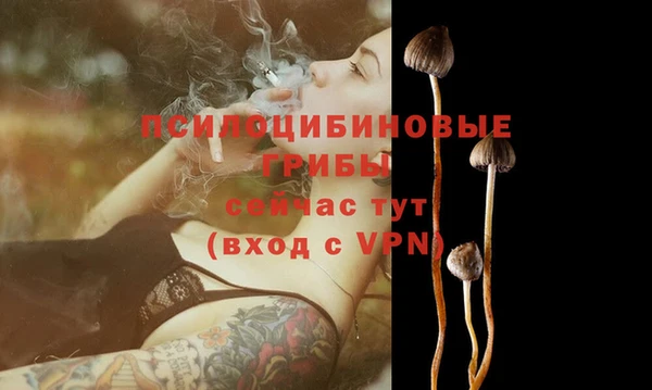 твердый Алексеевка