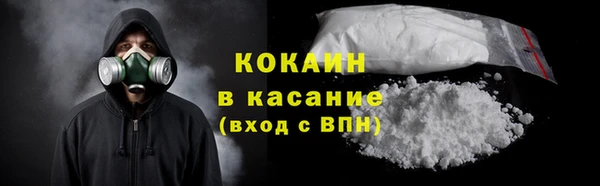 твердый Алексеевка