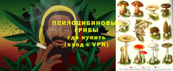 шишки Алексин